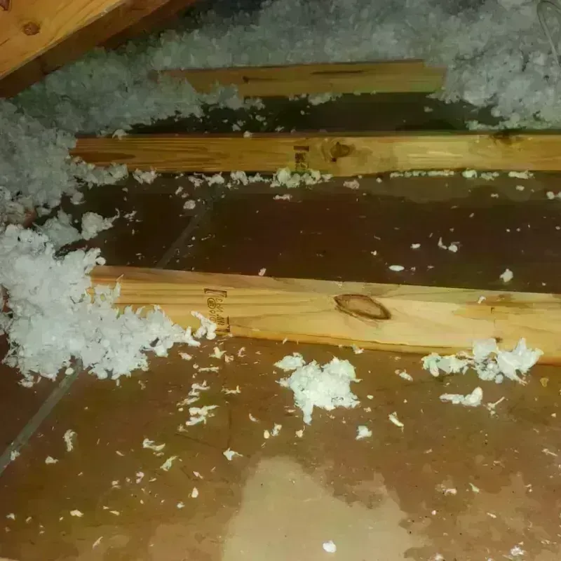 Attic Water Damage in Scotts Valley, CA